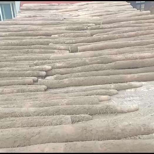 源头产品