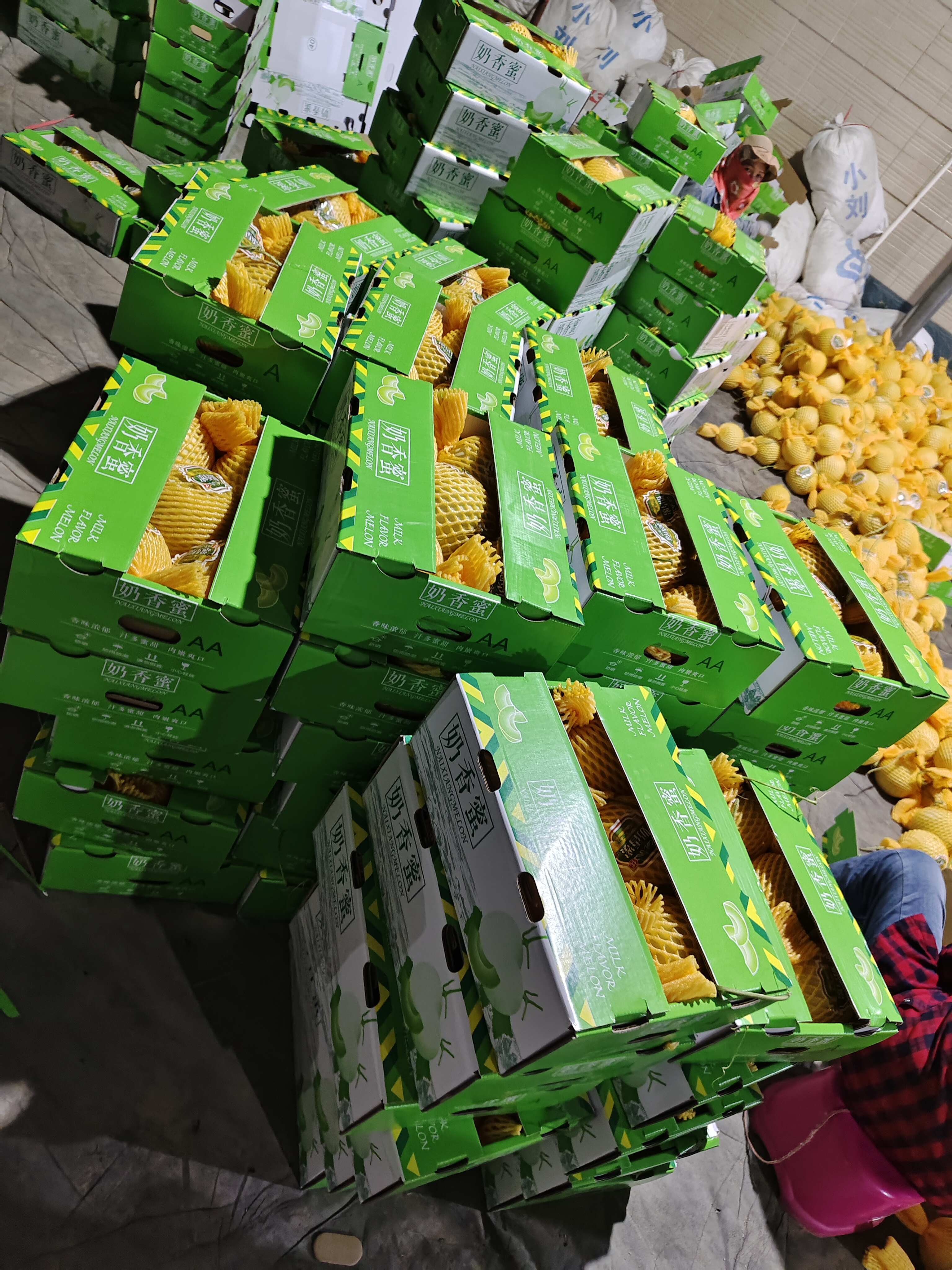 冰淇淋玉菇甜瓜一件代发 对接电商 社团私域 档口商超 直播