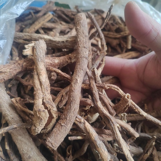 杠柳的根皮，香加皮，北五加皮，长期供货，量大价格可谈。