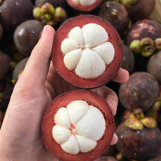 昆明【顺丰陆运】泰国新鲜山竹（麻竹）（3A/5A）
