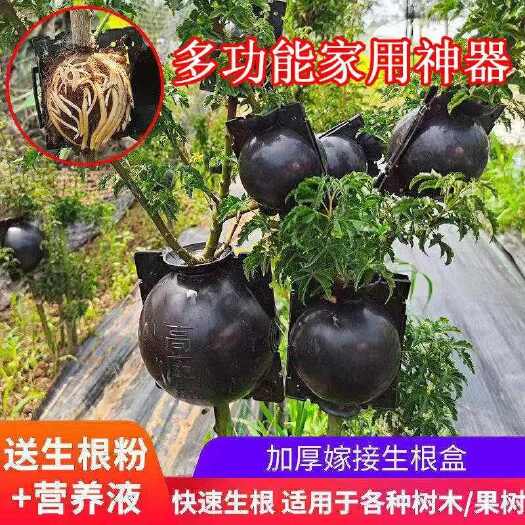 植物高压嫁接繁殖盒扦插果树枝条育苗器花木嫁接移栽器家用月季