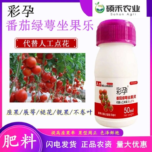 潍坊大小番茄柿子代替人工点花通用型点喷花药通用彩孕保花保果西红柿