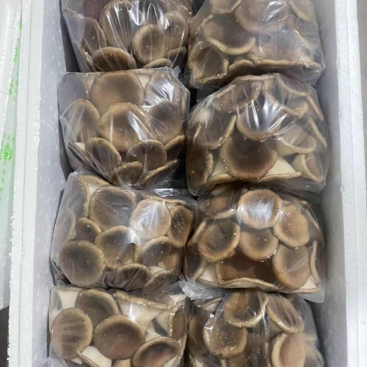 南靖县猪肚菇
