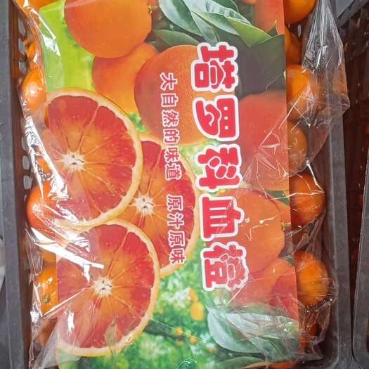 重庆市塔罗科血橙.