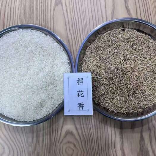 五常市黑龙江省五常市稻花香二号