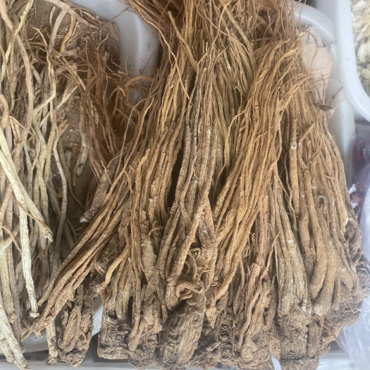 渭源县岷当归中药材 甘肃定西渭源产地发货 滋补药材精品