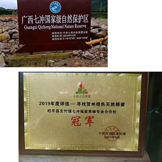 昭平县纯正蜂蜜  冬蜜  鸭脚木蜜，蜂蜜纯度高 质量保证
