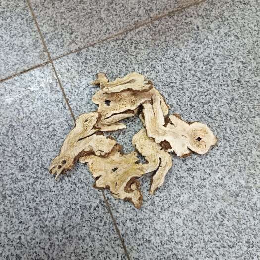 亳州白术各种规格饮片药厂投料出售
