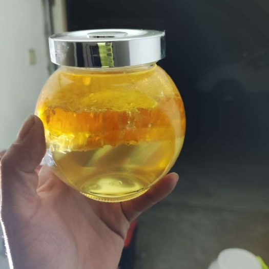 青岛意蜂双王继箱群12脾