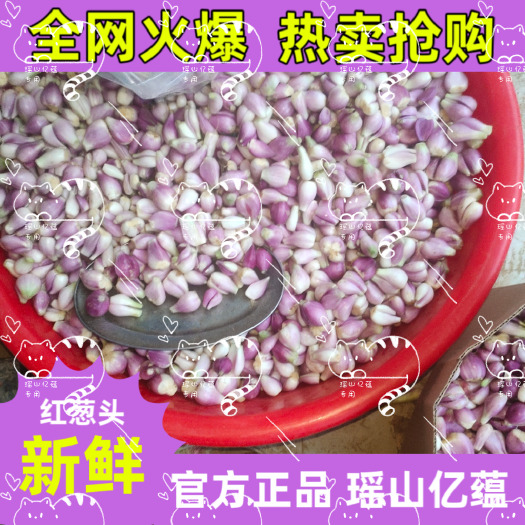 翁源县【瑶山亿蕴】去皮红葱头供货加工厂直发货