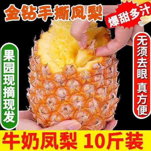海口海南牛奶金钻凤梨5/9斤新鲜水果香甜多汁凤梨无眼菠萝果园直发