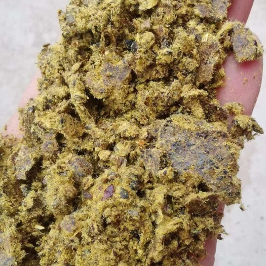 正定县棉籽饼