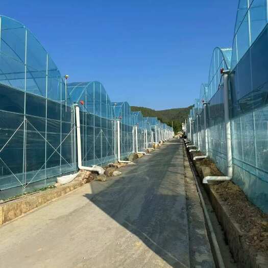 无锡樱桃树避雨大棚设计安装一体结实耐用抗风