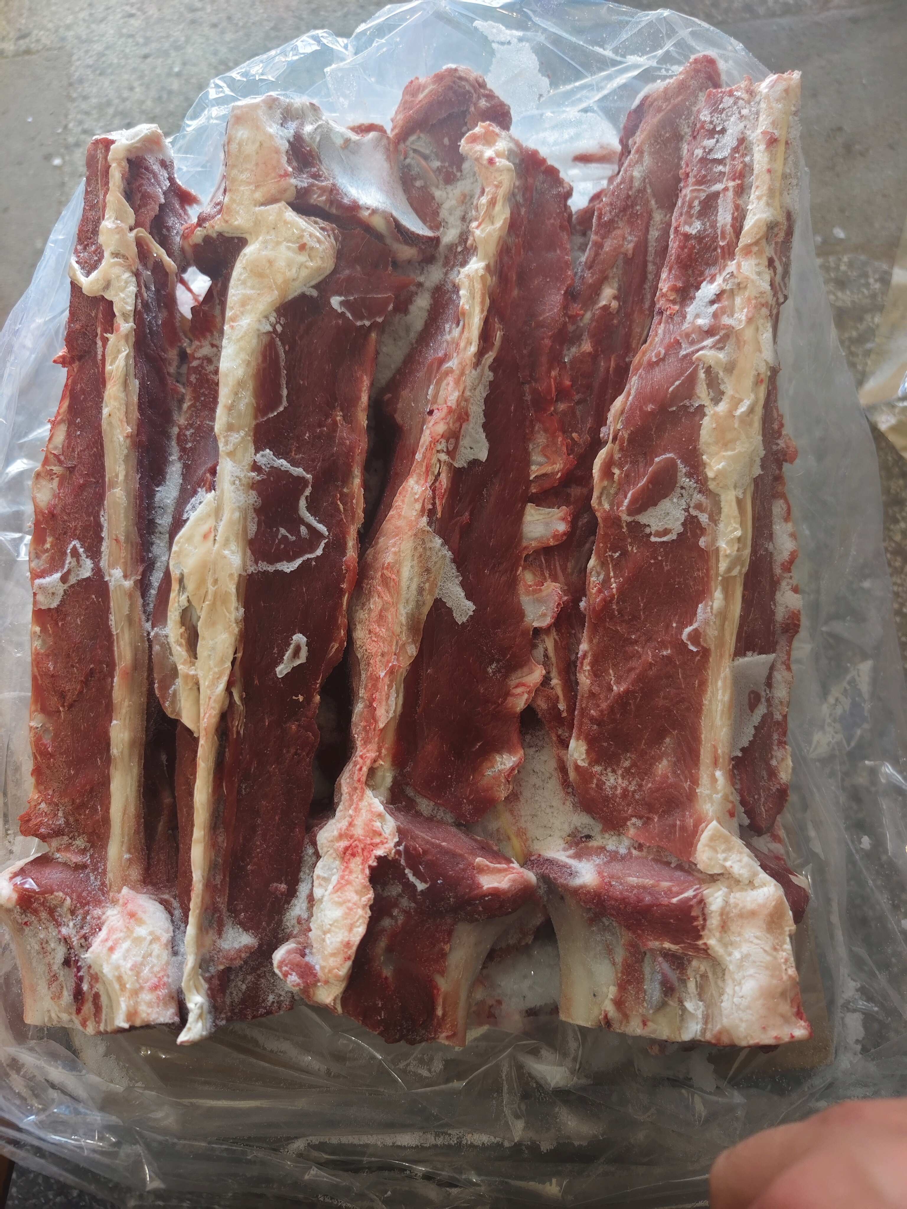 锡林浩特内蒙古羔羊带肉多羊蝎子