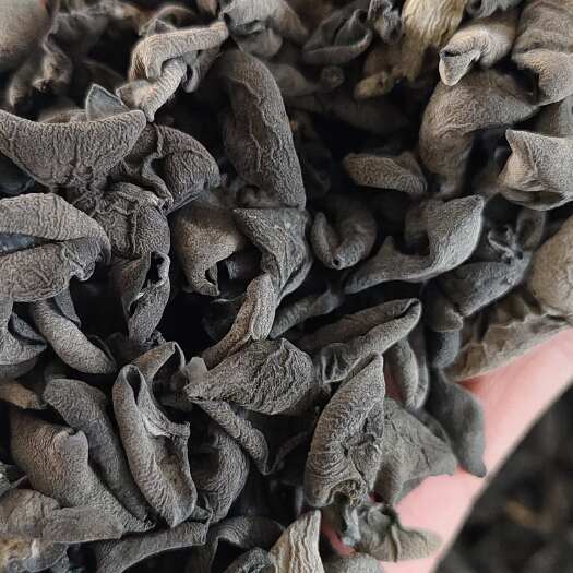 东宁市东北黑木耳秋木耳黑山原干货泡发十几斤黑龙江基地直供全国物流