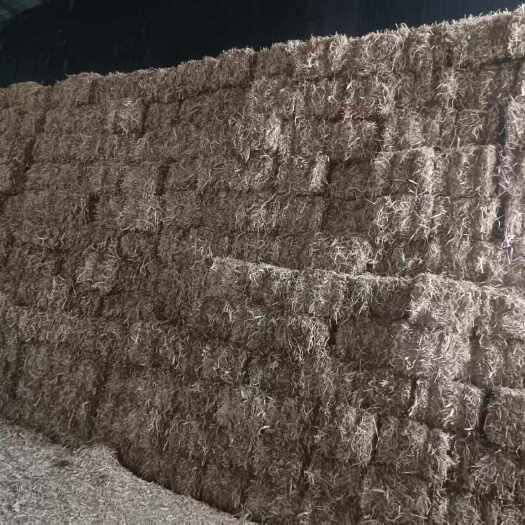 景泰县大量销售精品秸秆柔丝草