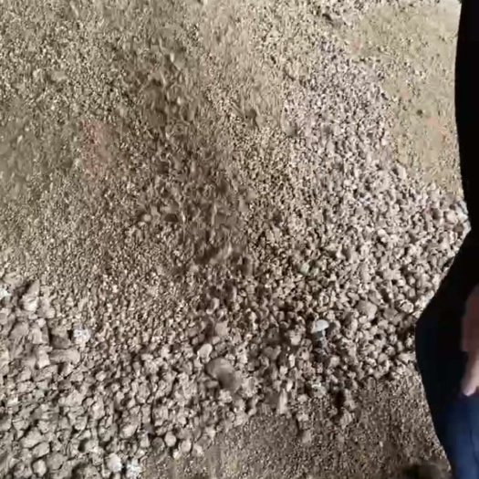 佛山蘑菇渣