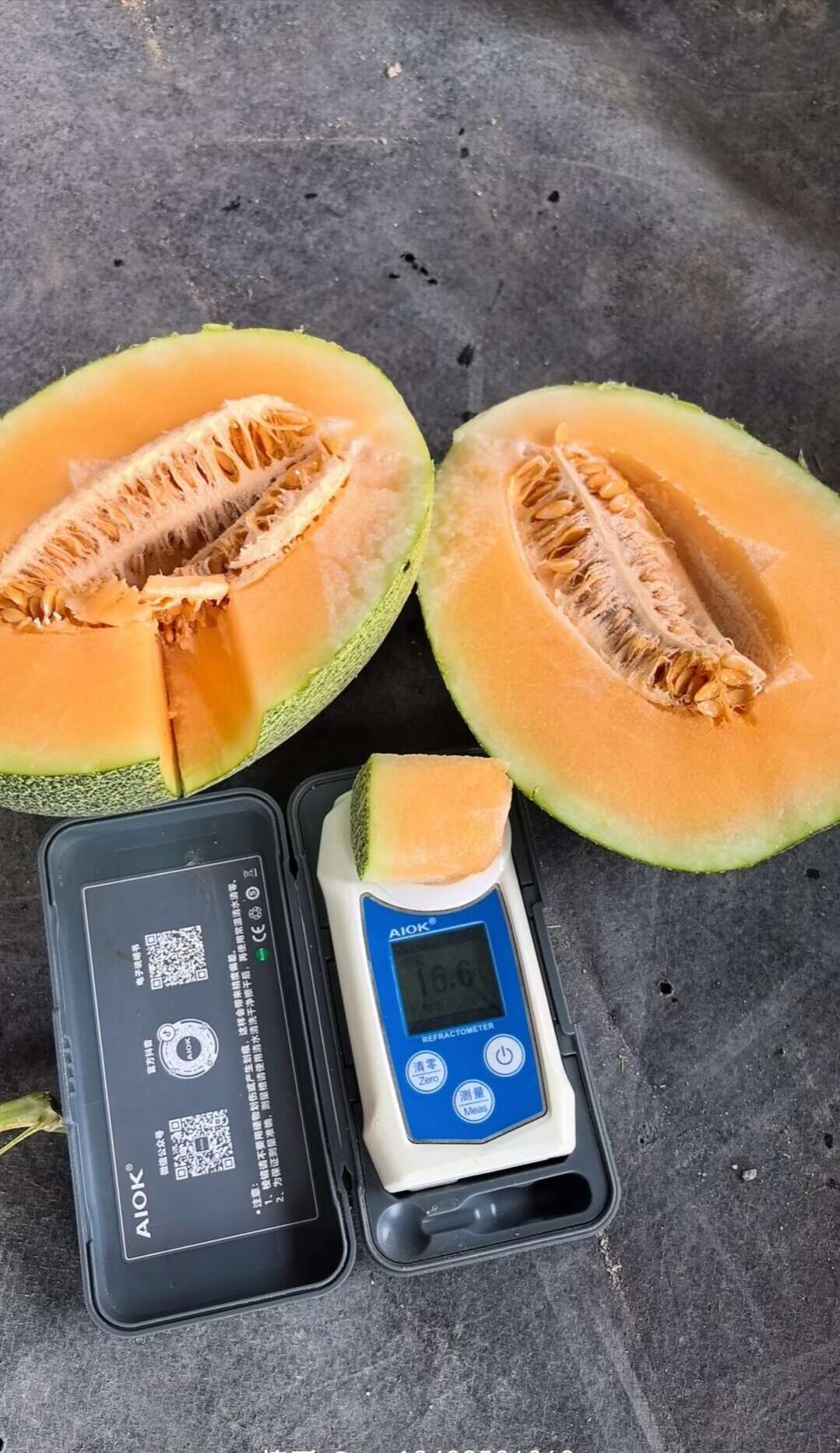 哈密瓜小蜜25号哈密瓜
