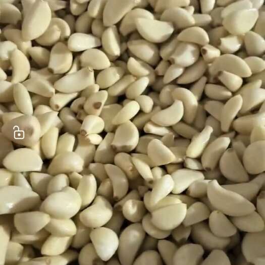 金乡县高标蒜米