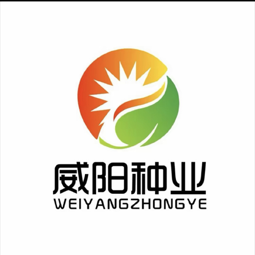 丰顺县冬瓜苗 健康种苗，根系发达，专业托管指导