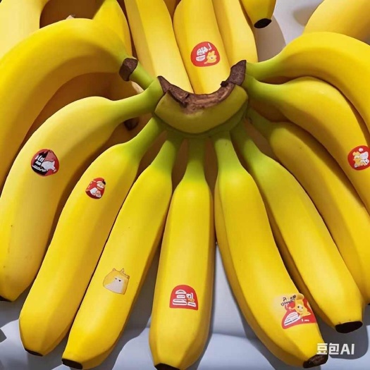 苏州蕉菲律宾