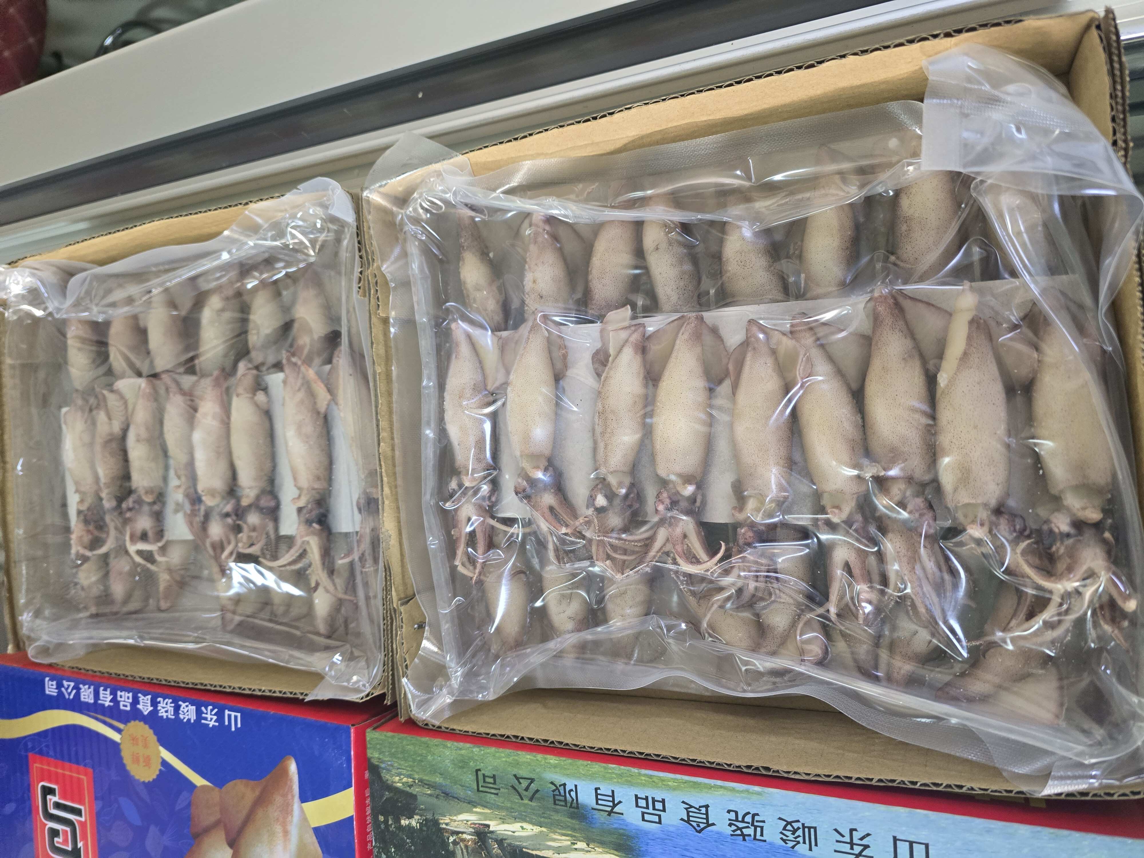 籽乌 笔管鱼