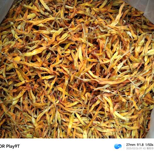 祁东县黄花菜 金针菜