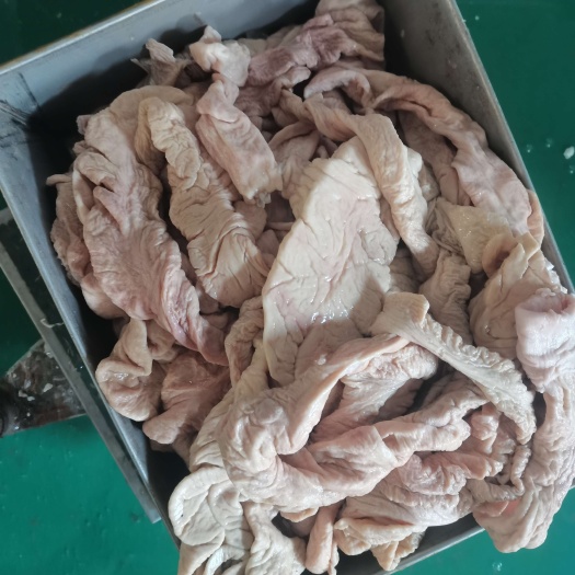 临沭县母猪大肠