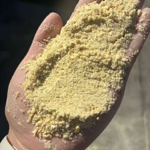 石家庄玉米次粉