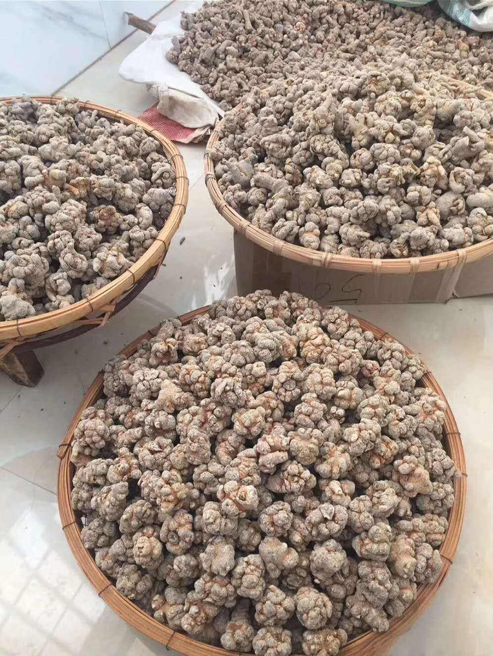 【云南文山发货】田七春三七金不换滇三七无剪口滑头七三七粉包邮