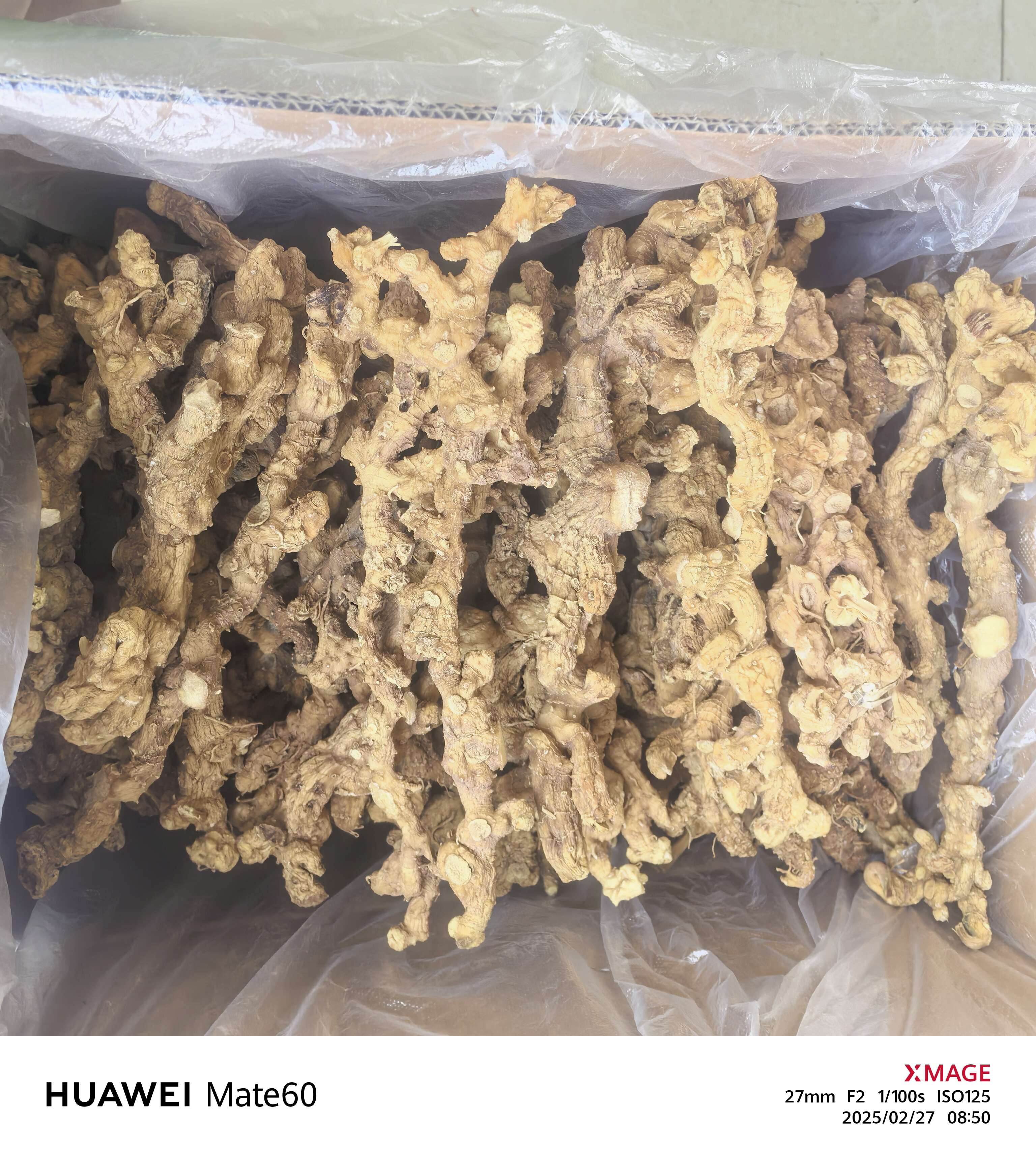 亳州創(chuàng)赫中藥材銷售部