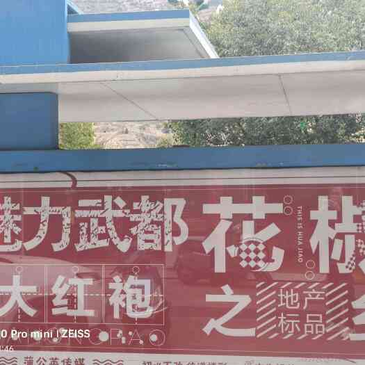 陇南做花椒，我是专业的，欢迎来合作
