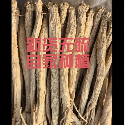 临洮县【不满意包退包售后】甘肃临洮无硫党参品质优甜度高条形好 包邮