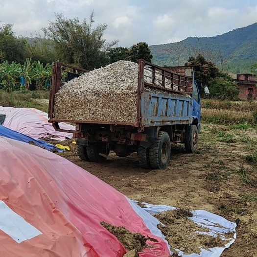 高州市广东茂名高州优质鸡粪有机肥农家自产批发零售