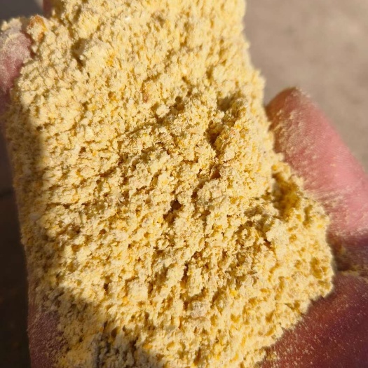 郓城县蒸汽高温熟化玉米面，代替百分之五十玉米使用，养殖饲料