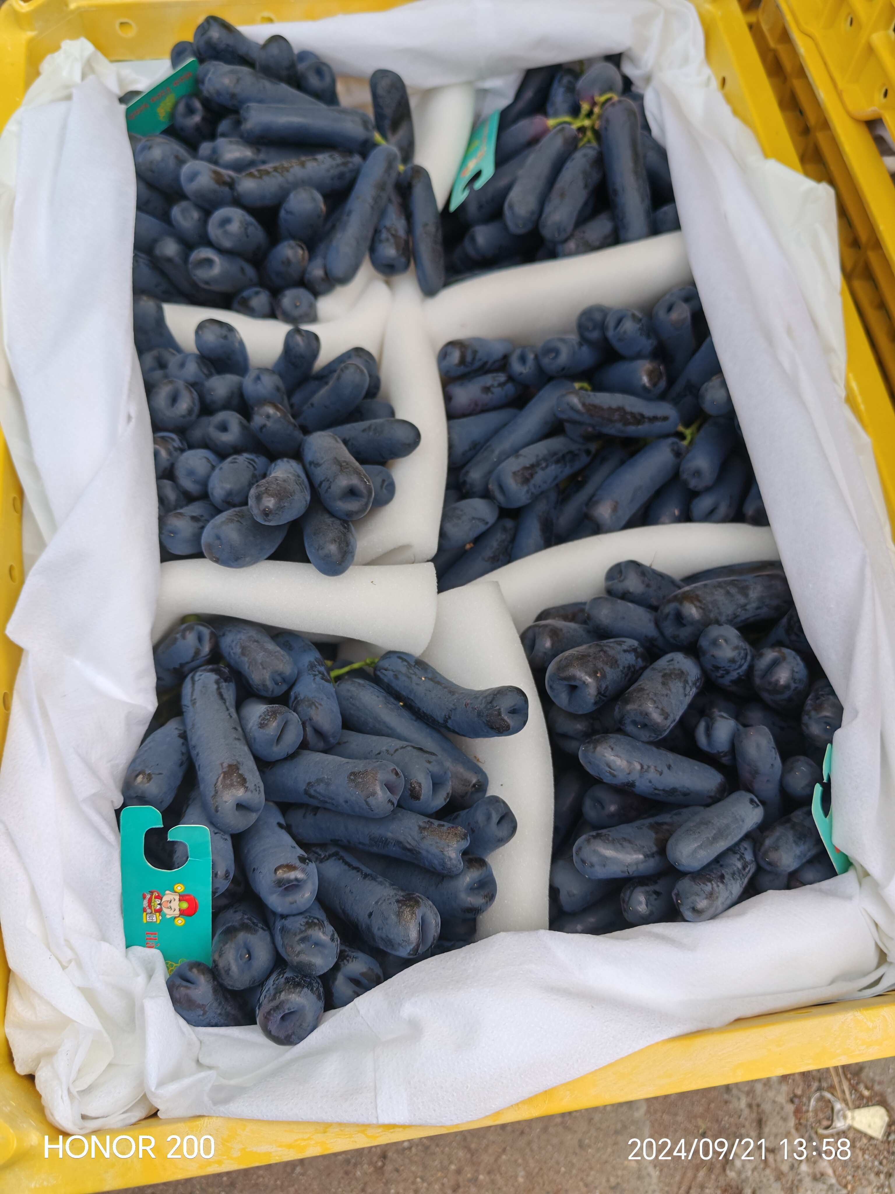涼山州宏勝農(nóng)副產(chǎn)品銷售有限公司