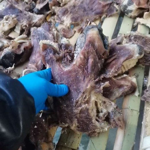 大厂县牛嘴叉