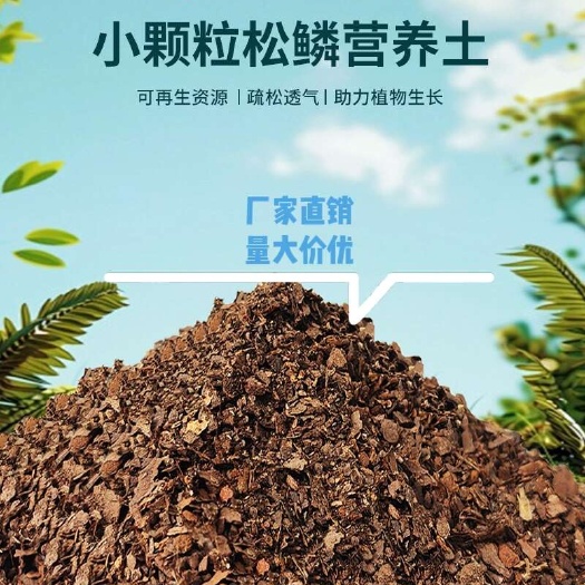 恩平市发酵松树皮粉松鳞8号土壤改良有机质