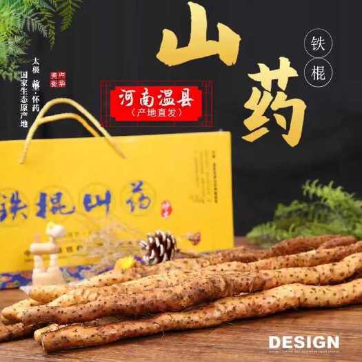 温县河南温县铁棍山药