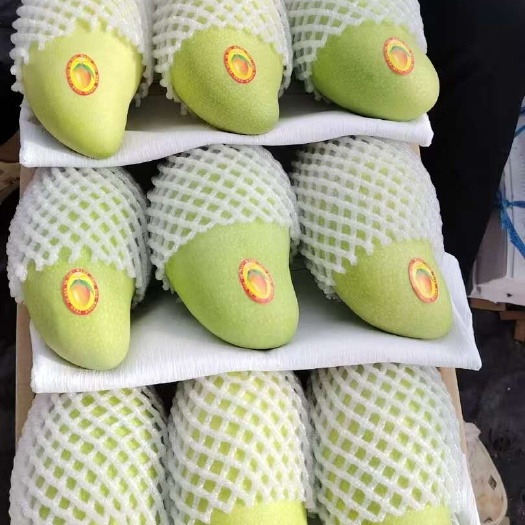 海南一级金煌，单果一斤以上，树上直采