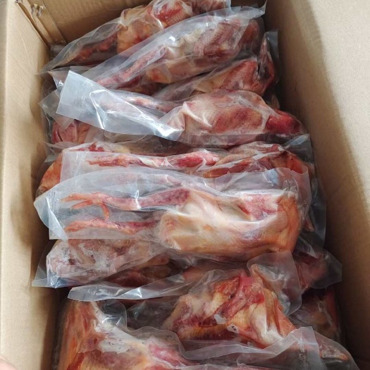 临沂临沂新鲜乳鸽肉 禽畜肉蛋类优质食材 山东直发
