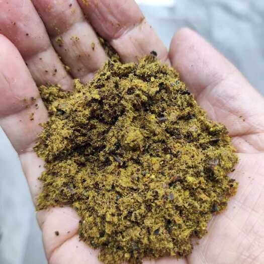 正定县我是河北石家庄玉米酒糟DDGS生产厂家