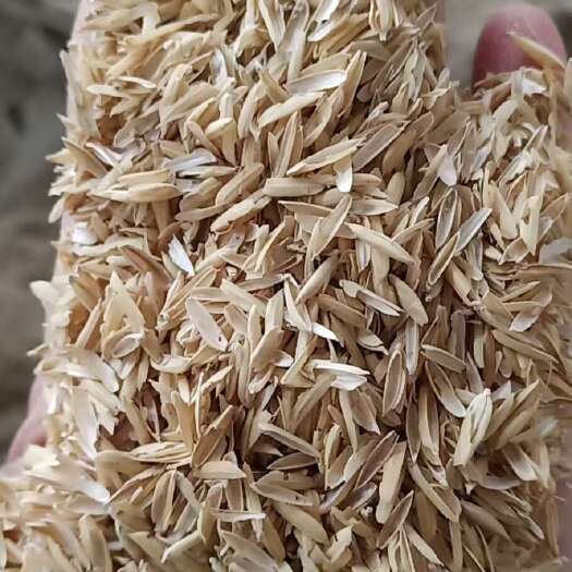 当阳市供应优质普通稻壳 环保压缩稻壳批发