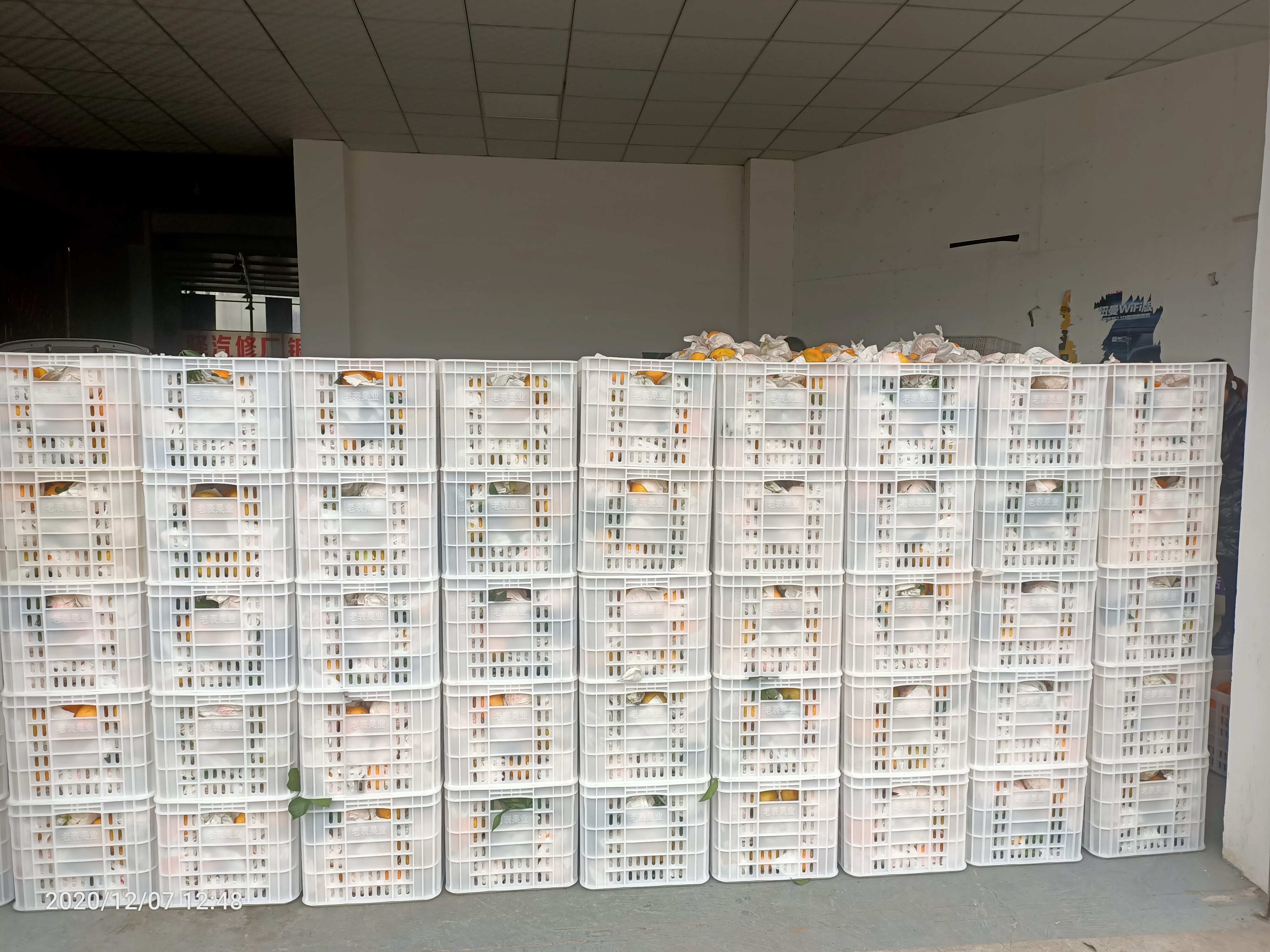 蒲江縣壽安街道洪陽水果門市