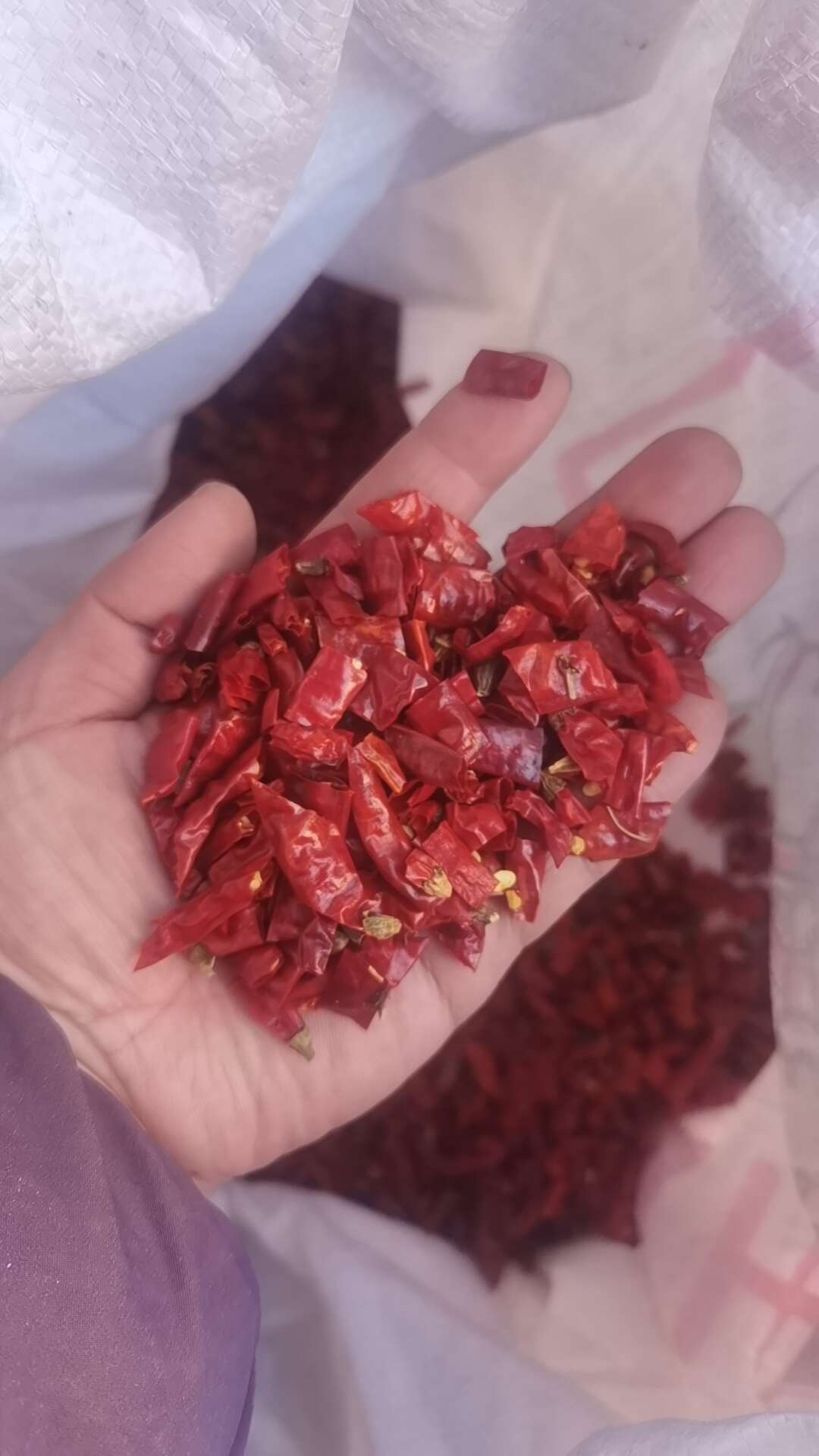 变态辣，魔鬼辣，不辣包退。切段去籽