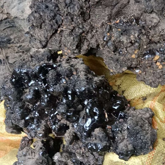 马尔康市四川阿坝猴结中药材天然动物类药材马尔康发货