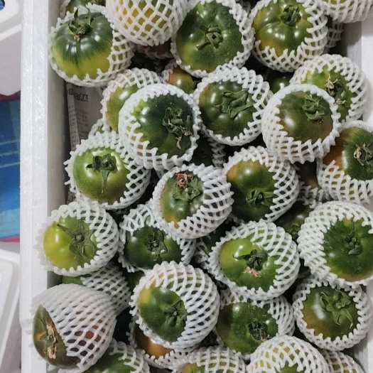 大连货好小贵