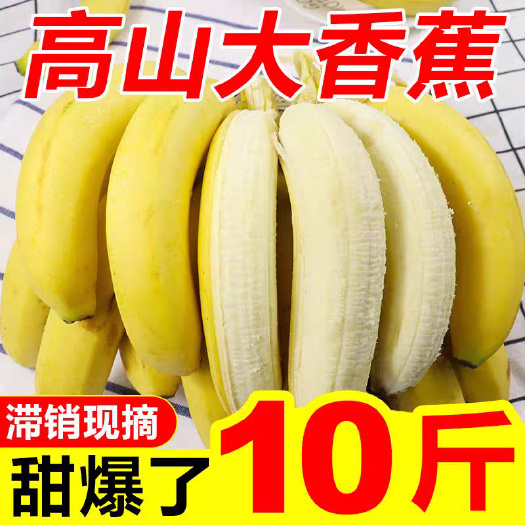 昆明云南香蕉整箱当季水果新鲜包邮批发10斤/6斤自然熟大香蕉