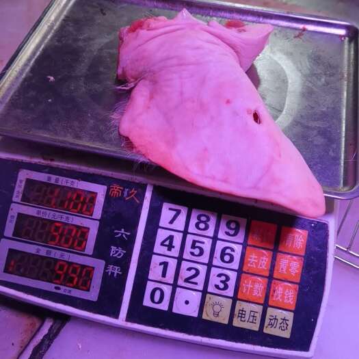 贺州猪耳朵，新鲜