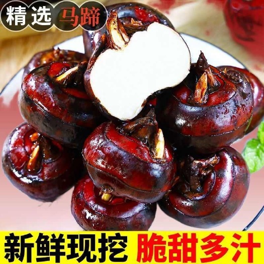 【活动包邮】广西荔浦马蹄产地直发现挖荸荠地栗农家特产